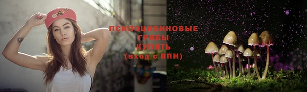 трава Медвежьегорск