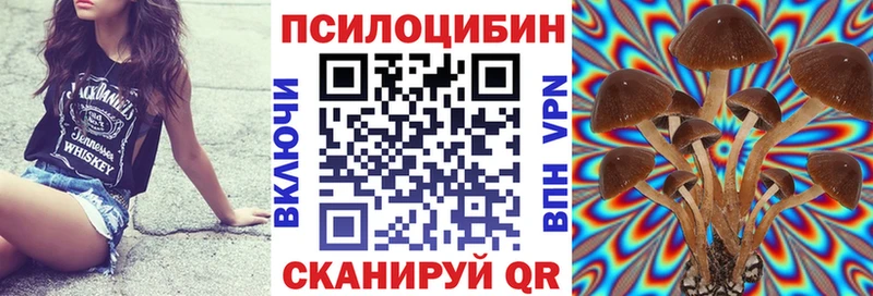 Купить  Анжеро-Судженск  Псилоцибиновые грибы Cubensis 
